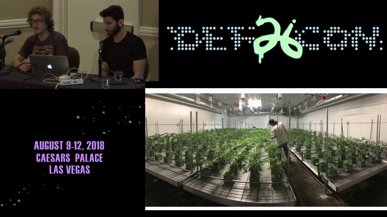 DEF CON 26 CANNABIS VILLAGE - Adrian and Alex - An Overview of Hydroponic Grow Techniques