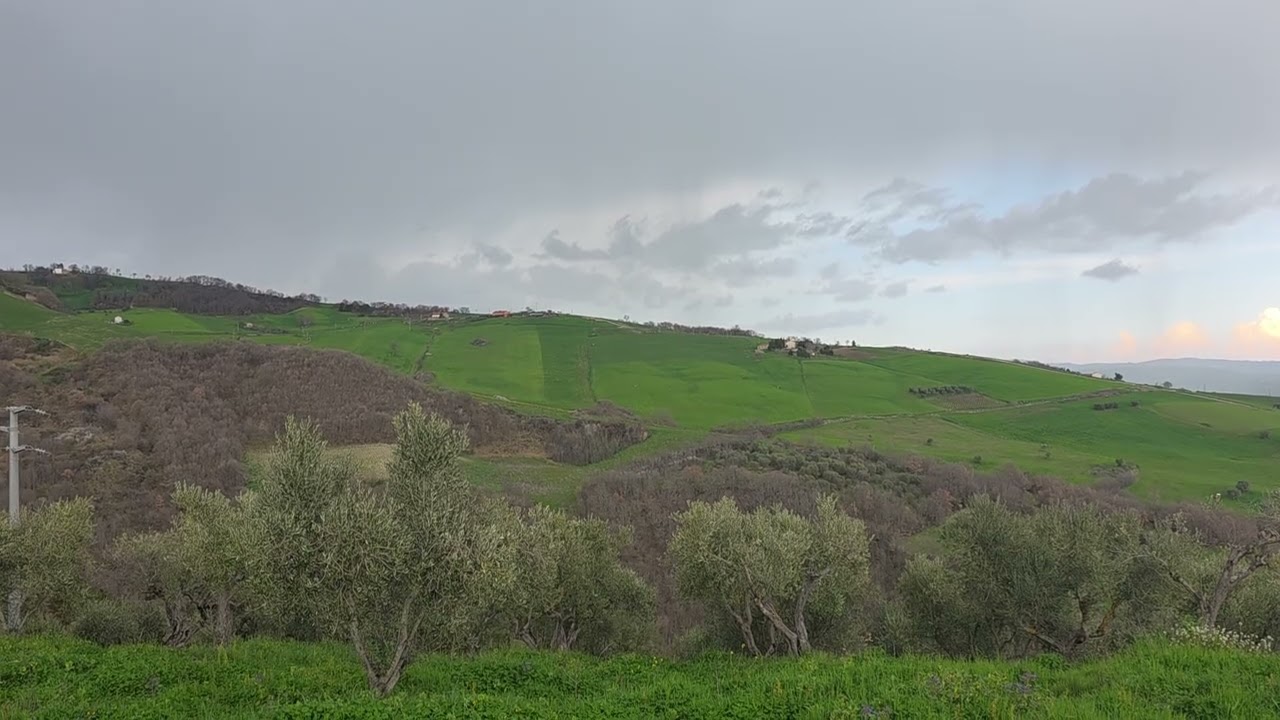 I suoni del lavoro nelle colline ma il temporale è vicino #asmr #relax #nature 