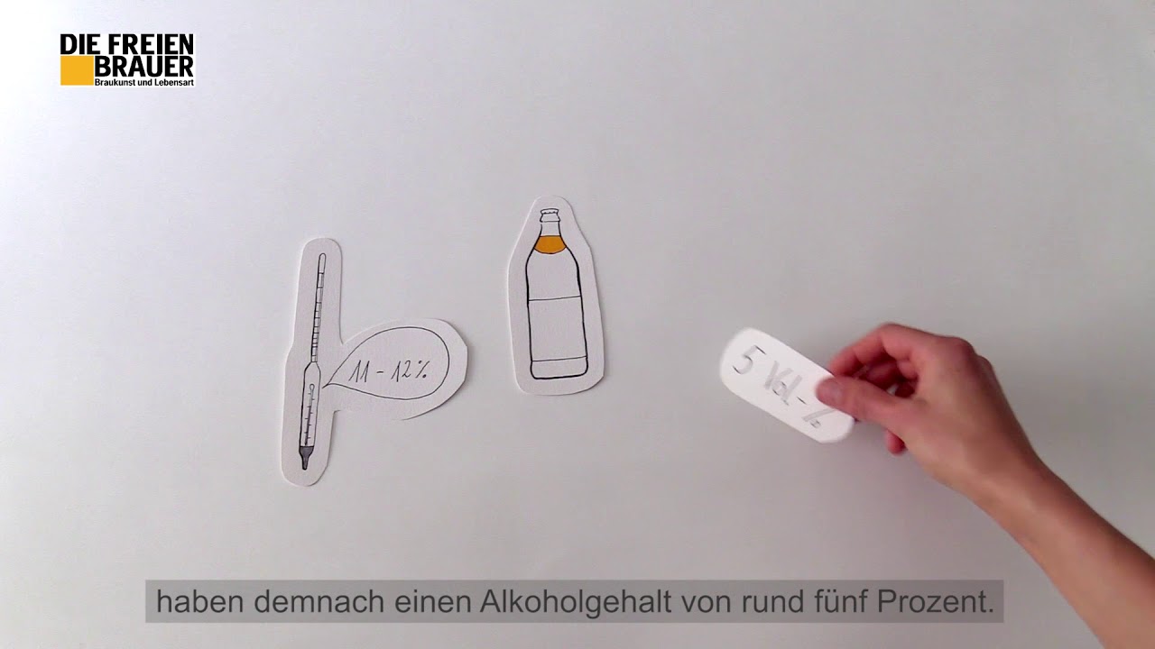 Die Freien Brauer – Bierwissen: Was ist eigentlich Stammwürze?
