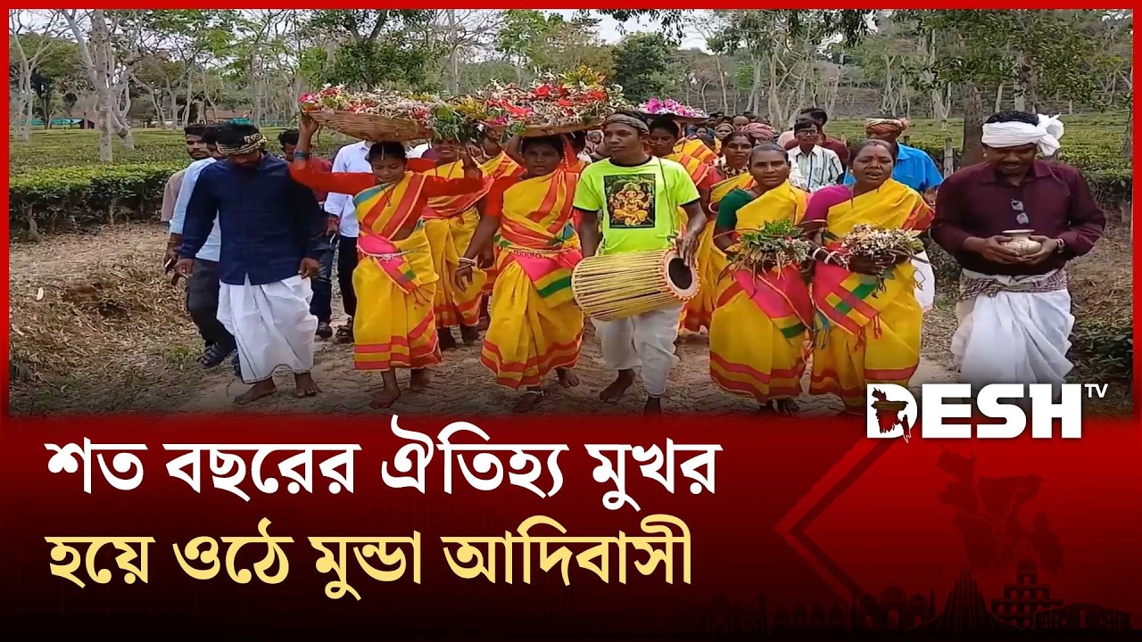 মৌলভীবাজার চা বাগানে শত বছরের ঐতিহ্য মুখর হয়ে ওঠে মুন্ডা আদিবাসী | Moulvibazar | Desh TV