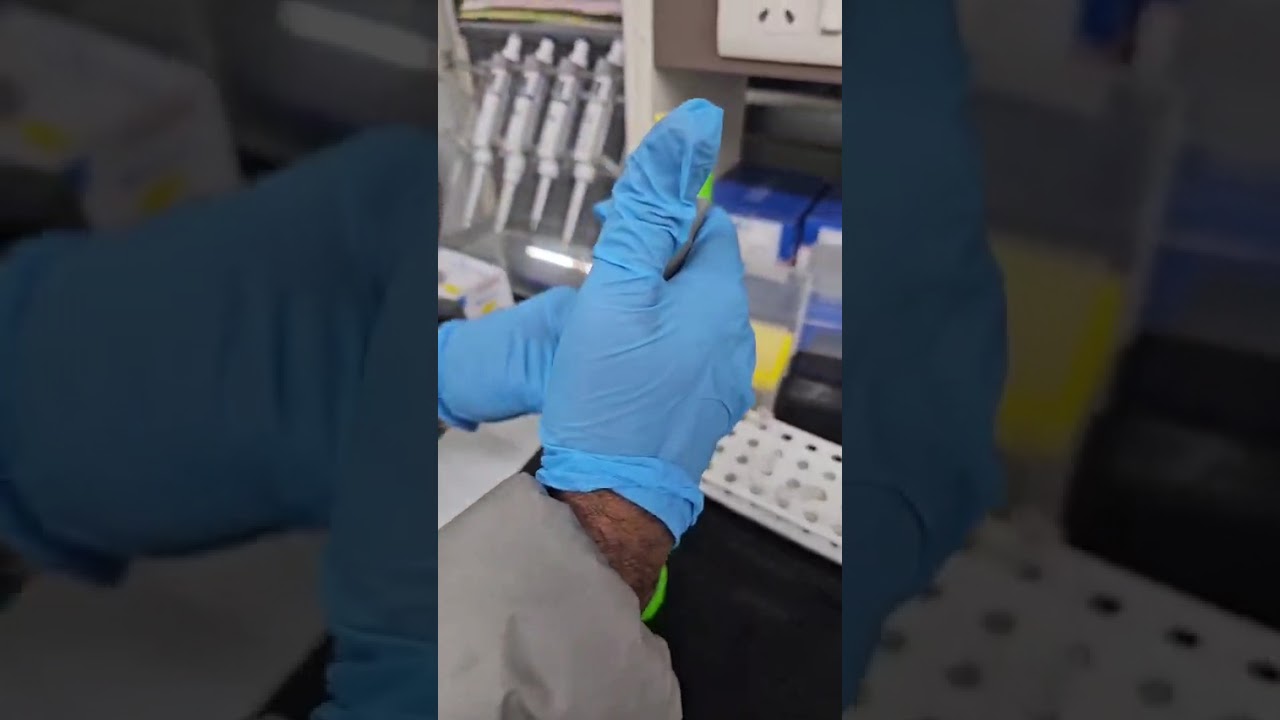 Molecular Breeding Laboratory Procedures Part-4: DNA extraction and washing
