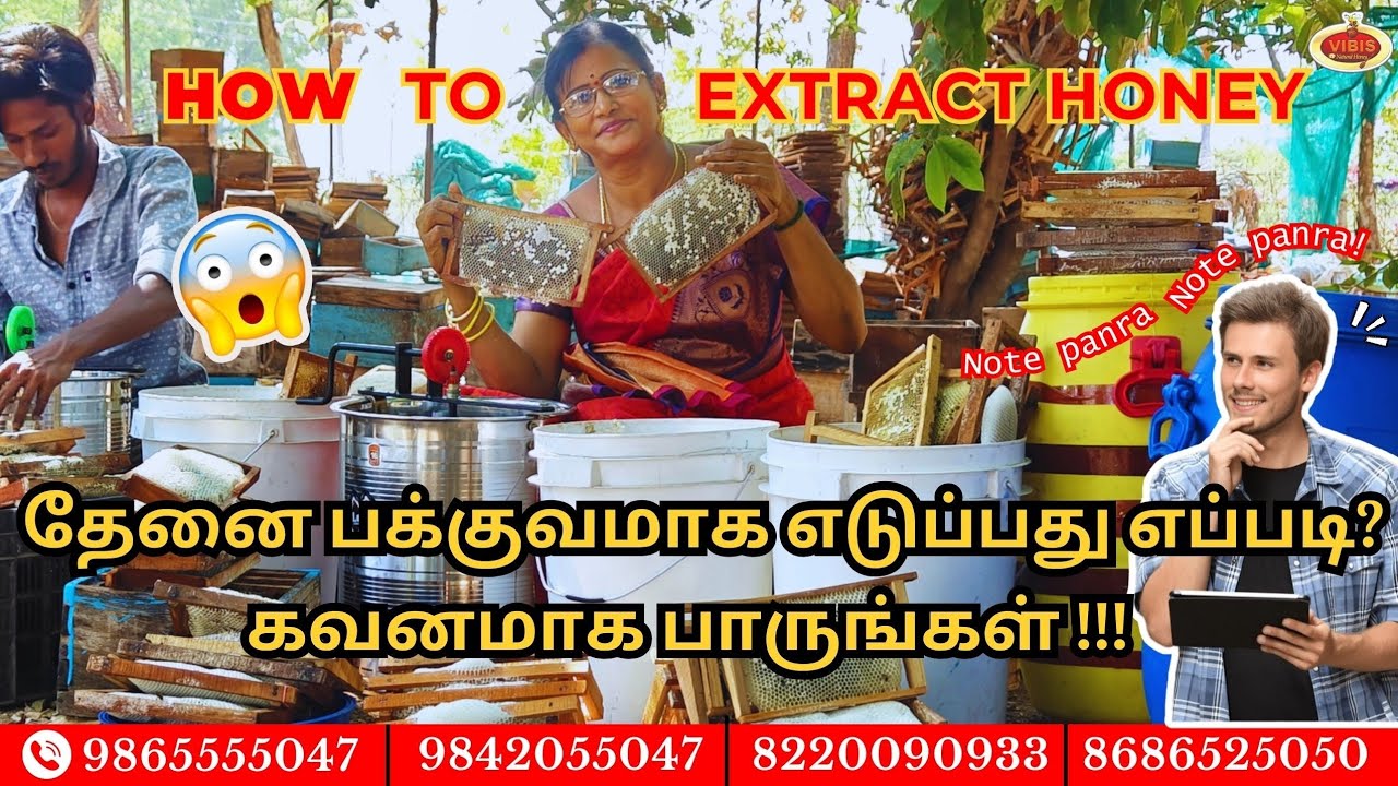 VIBIS HONEY 🍯 ஒரே நாளில் 300 கிலோதேன் எடுப்பது எப்படி #vibishoney
