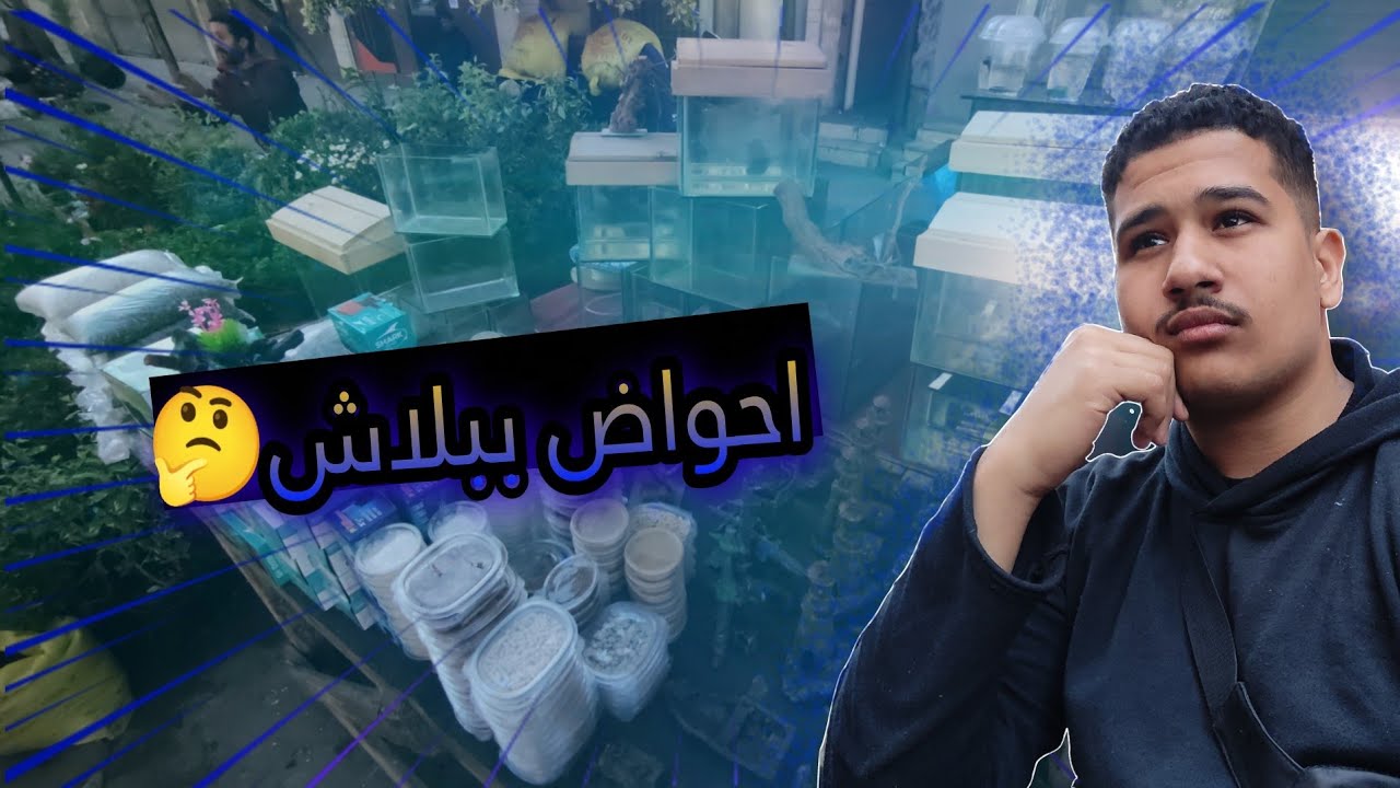 اسعار احواض اسماك الزينه اسعار سوق الجمعه في اسكندريه