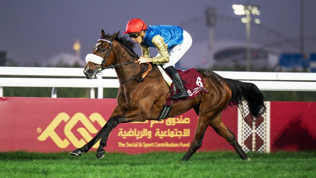 RM 51  Al Rayyan Race 5 -  H.H. The Amir Sword Festival - Day 4