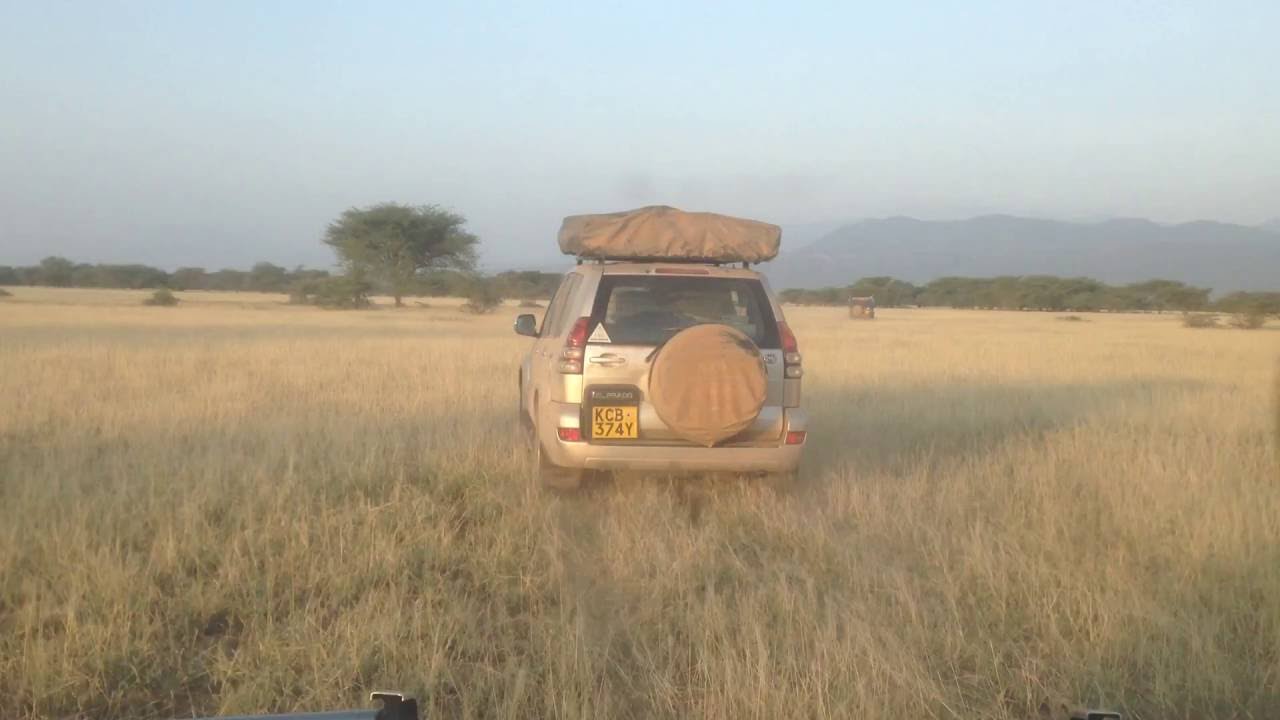Shompole Conservancy, Kenya