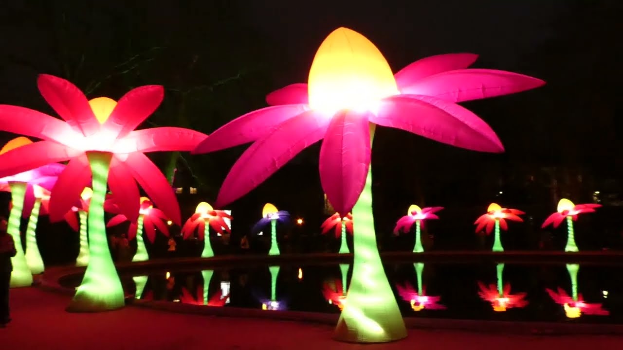 Magie Nocturne à Bruxelles ! ✨🌷 #BrightBrussels