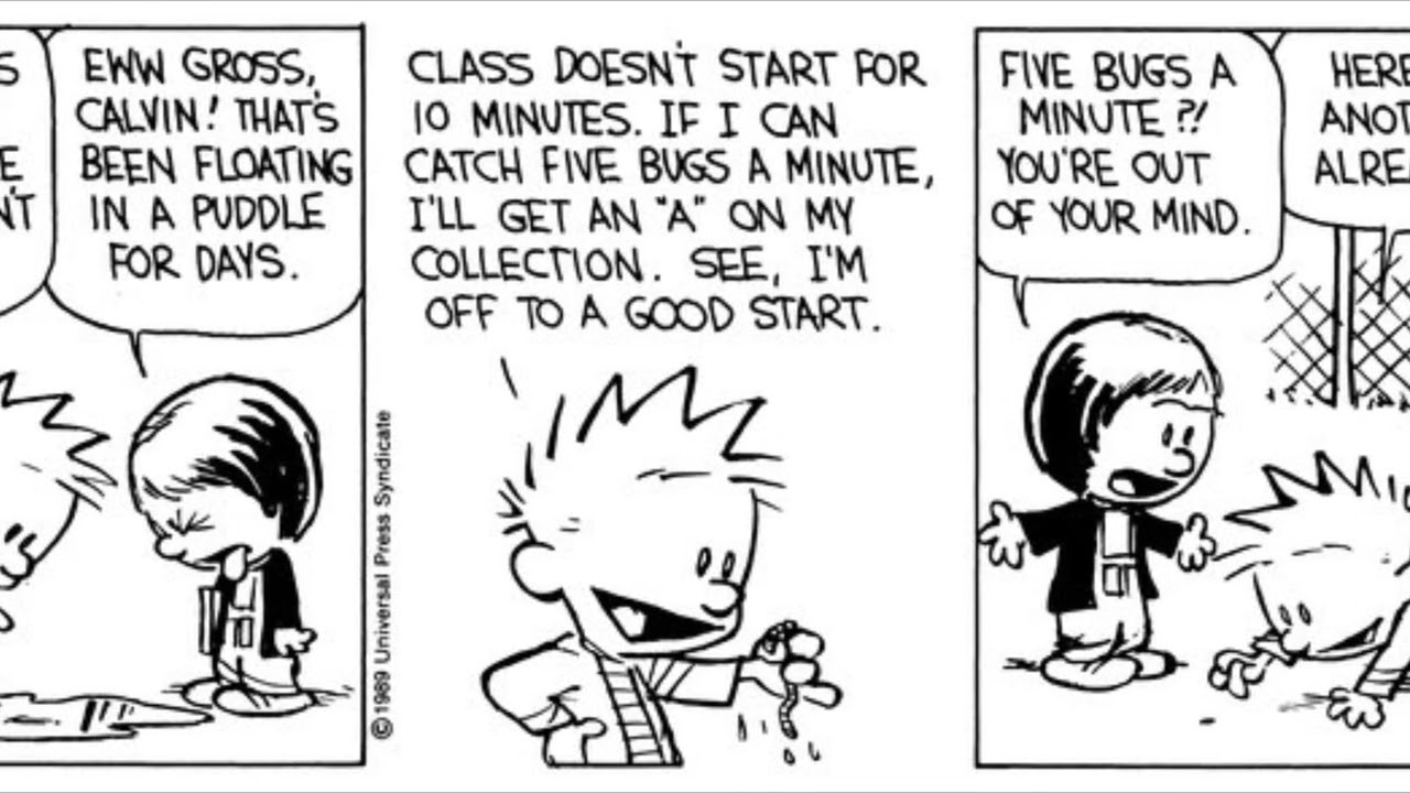 Calvin’s Insect Collection (Requested by @pattiballerini691)