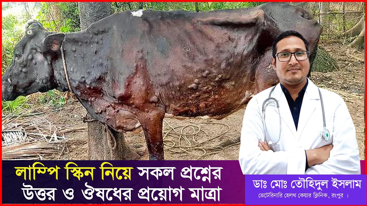 লাম্পি স্কিন নিয়ে কমন সকল প্রশ্নের উত্তর ও ঔষধের প্রয়োগ মাত্রা | Lumpy skin disease | Dr.Touhidul