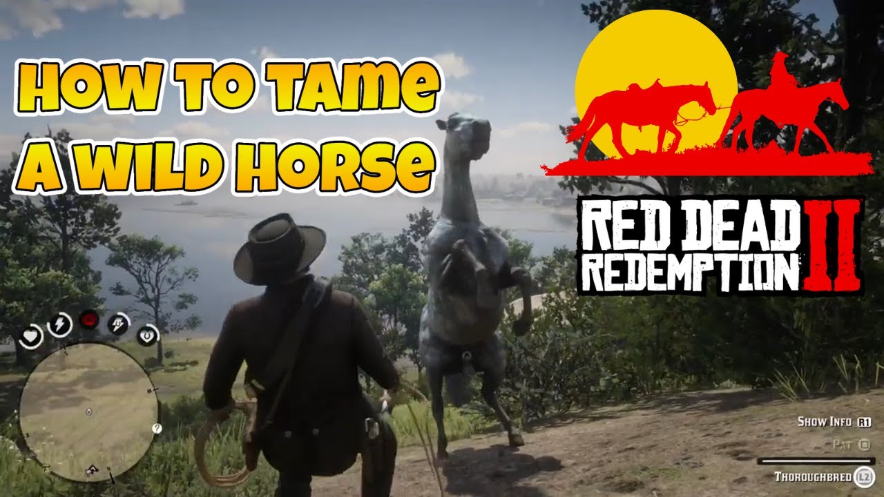 Red Dead Redemption 2 Как приручить дикую лошадь