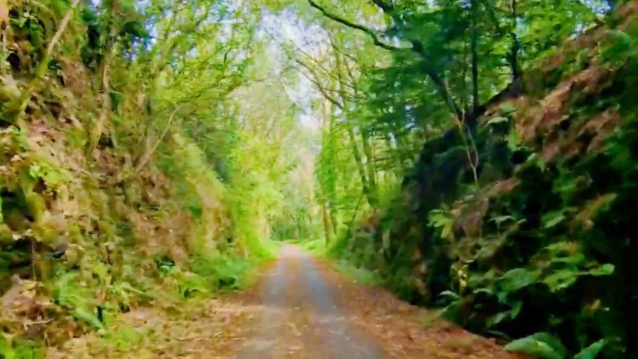 E-BIKING FROM PLYMBRIDGE TO DARTMOOR! BEAUTIFUL BREATHTAKING VIEW WITH RELAXING NCS MUSIC!