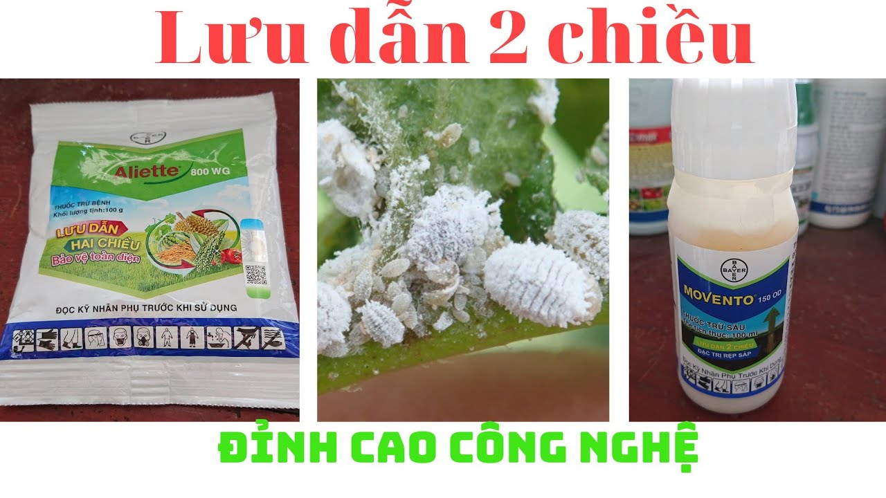 Một phát minh nhân loại . đỉnh cao công nghệ. thuốc trị các loại rệp. truy tìm vết bệnh