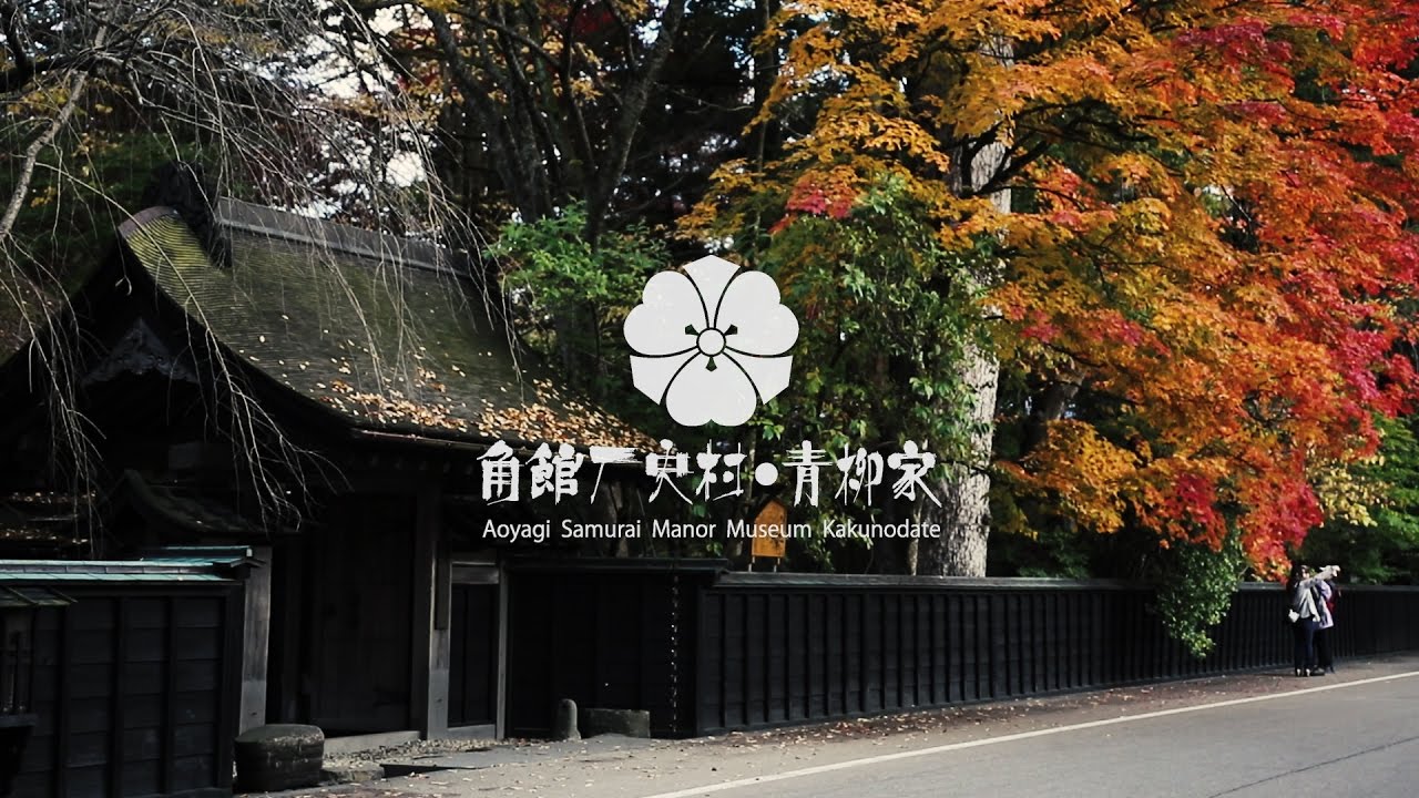 【Aoyagi  Samurai  Manor  Museum  Kakunodate】日本秋田角館「青柳家」紅葉