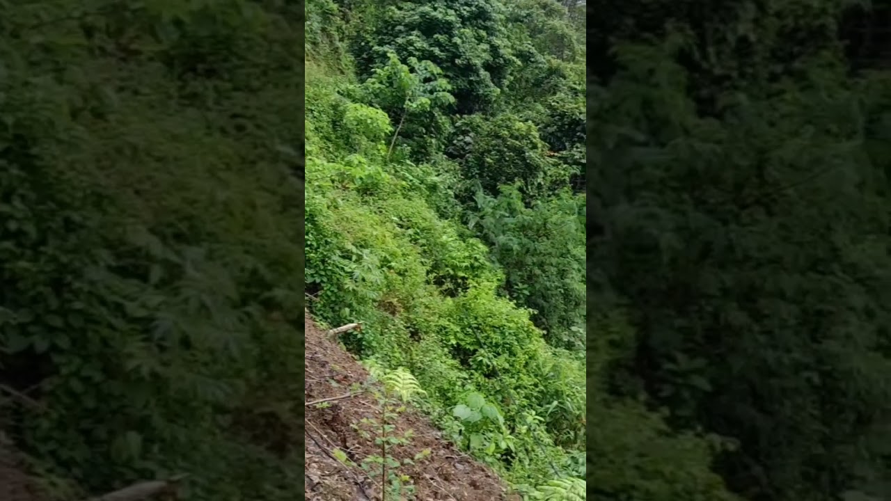 Indah Tapi Ngeri #alampedesaan