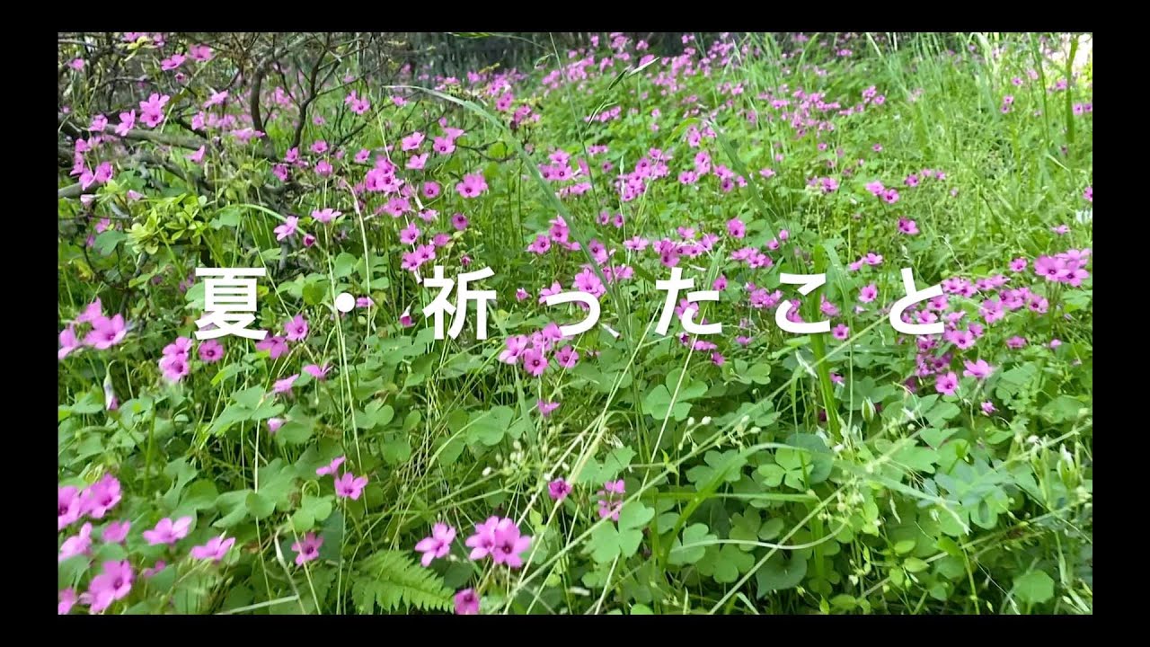piano #ウォンウィンツァン　夏、祈ったこと 無限のなぎさ at 青森  2013/6/23