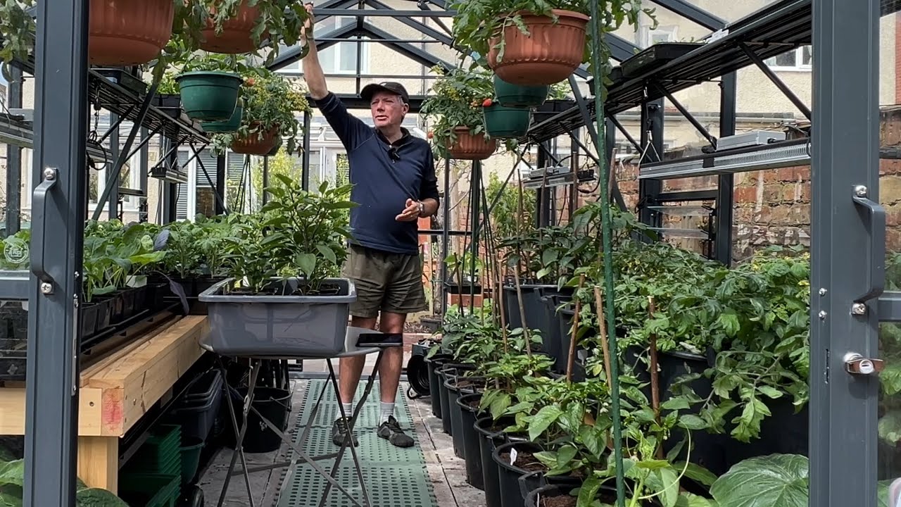 How to design and plant a greenhouse
