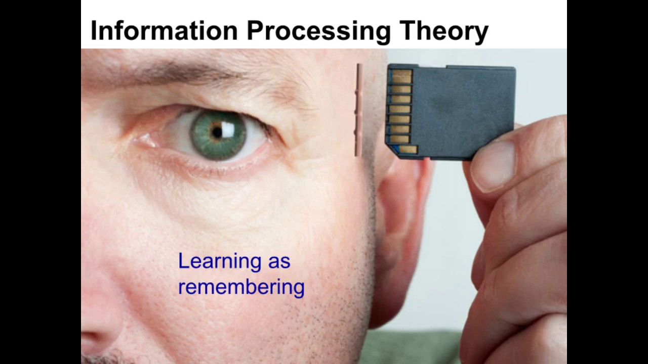 Information Processing Theory