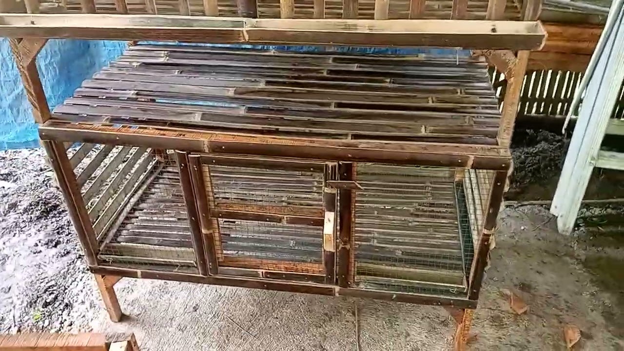 Kandang anakan apartemen