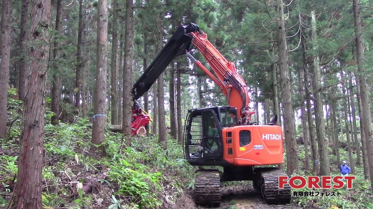 ロングリーチ伐倒ソー M12 Forest 実演動画