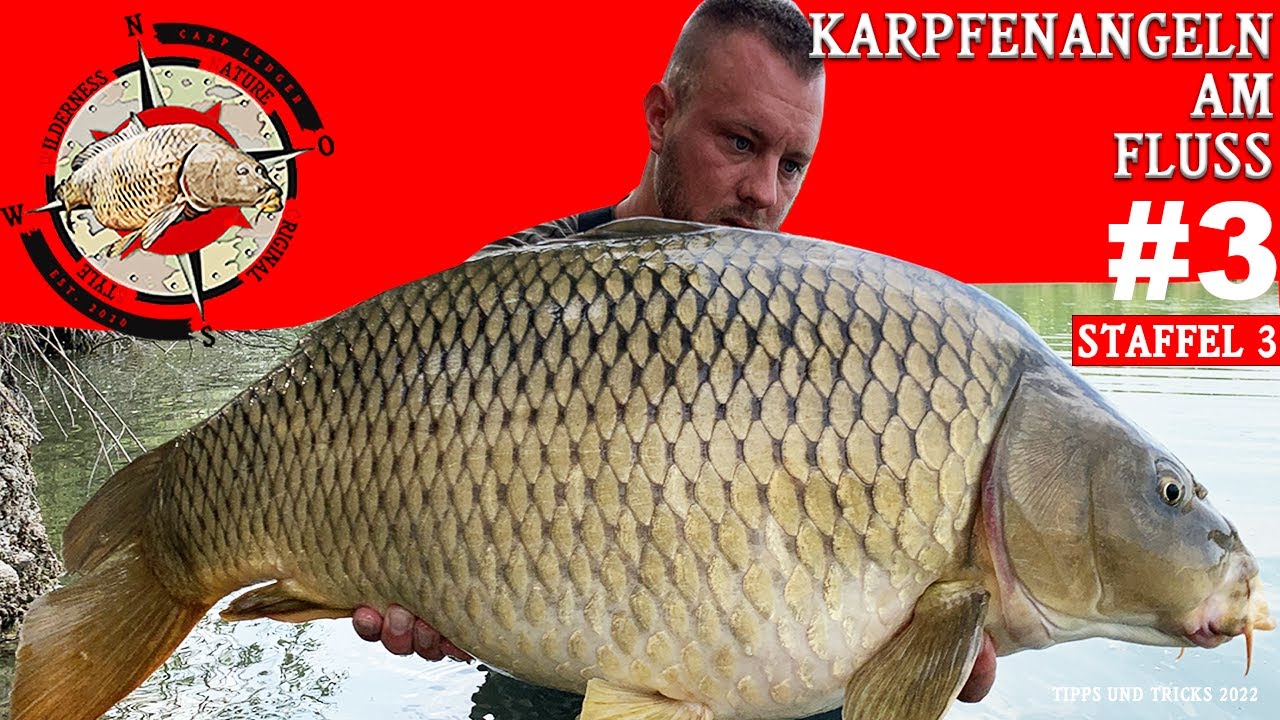 Karpfenangeln am Fluss - Tipps und Tricks beim Flussangeln auf Karpfen im Fr&uuml;hjahr |bellyboat (2022)