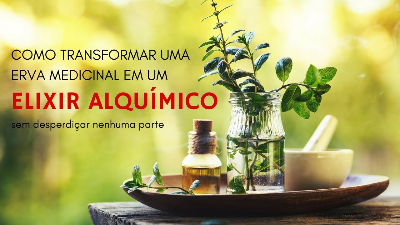 Como o Alquimista transforma uma Erva Medicinal em um Poderoso Elixir | Daniél Fidélis ::