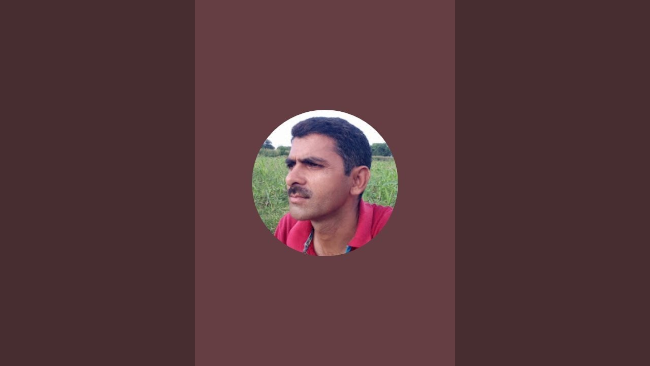 live! फिर बारिश शुरू और कहां कहां हो रही है बारिश