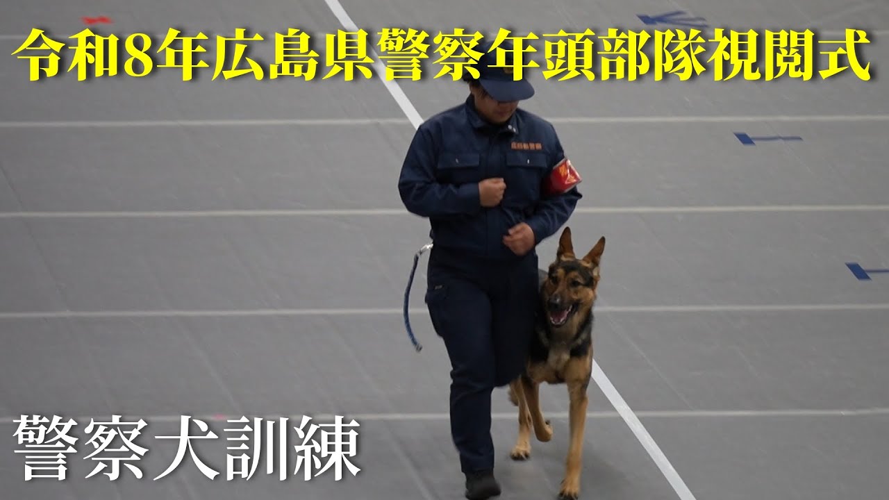 令和８年広島県警察年頭部隊視閲式　警察犬訓練