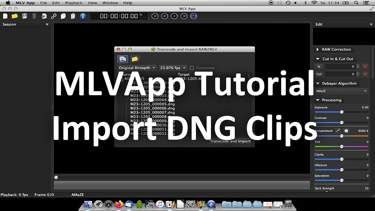 MLVApp Tutorial - Import DNG Clips