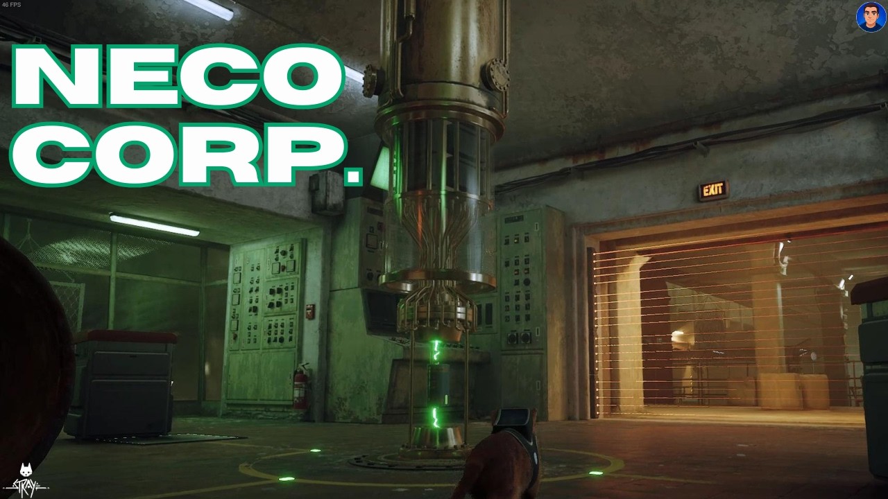 STRAY #7 - FINALMENTE INVADIMOS a NECO CORP!