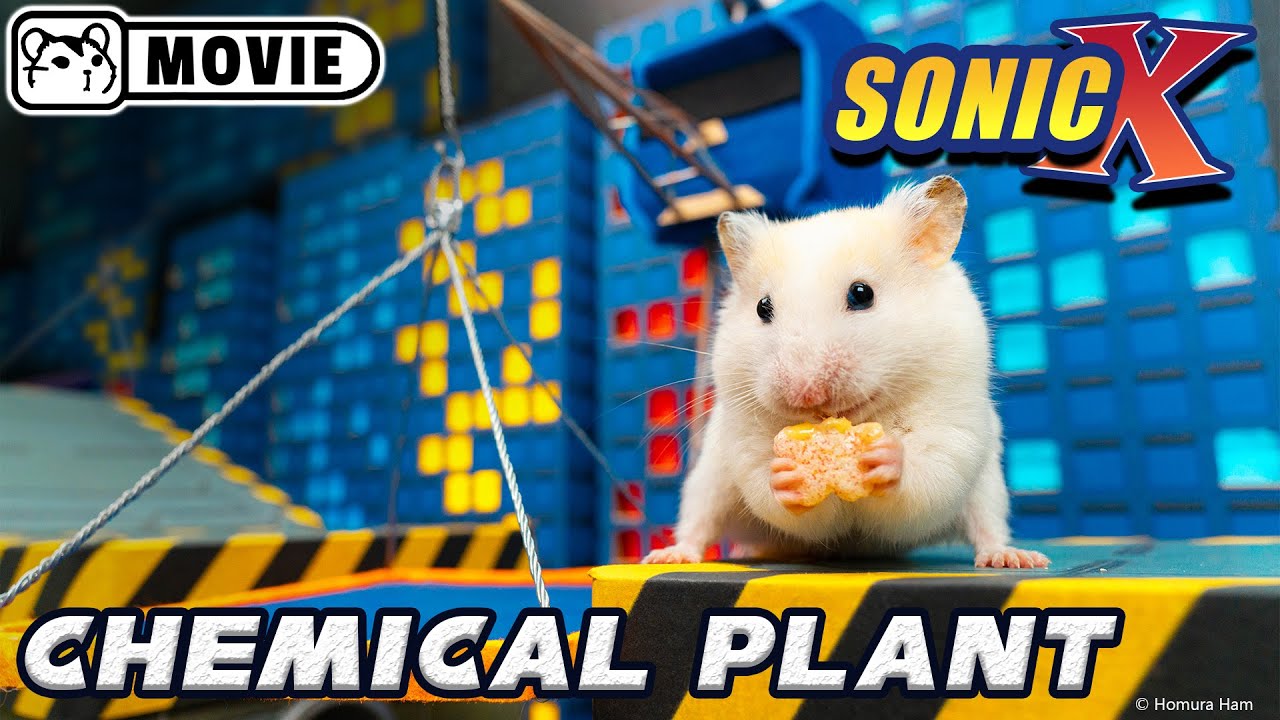 Hamster Sonic vs Eggman ep.3 - Chemical Plant zone 🐹 Boss fight 🐹 Homura Ham