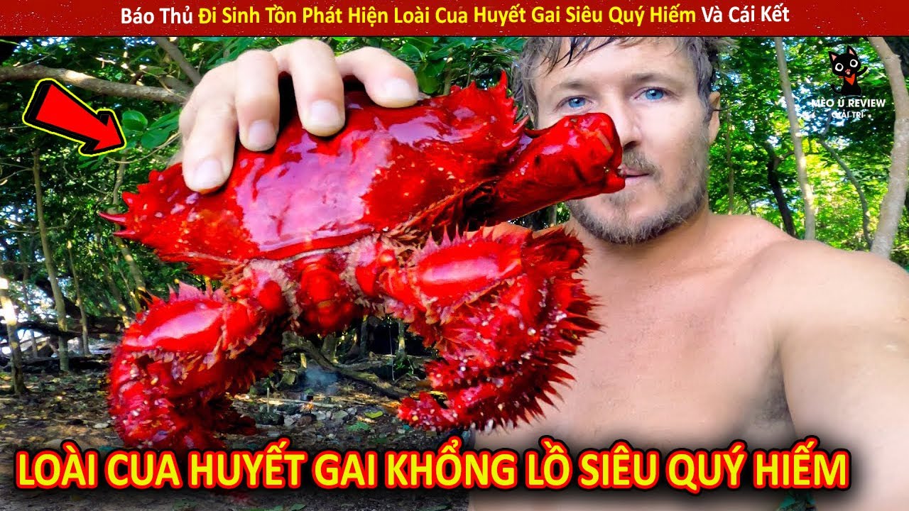 Báo Thủ Đi Sinh Tồn Phát Hiện Loài Cua Huyết Gai Siêu Quý Hiếm Và Cái Kết||Review Giải Trí Đời Sống