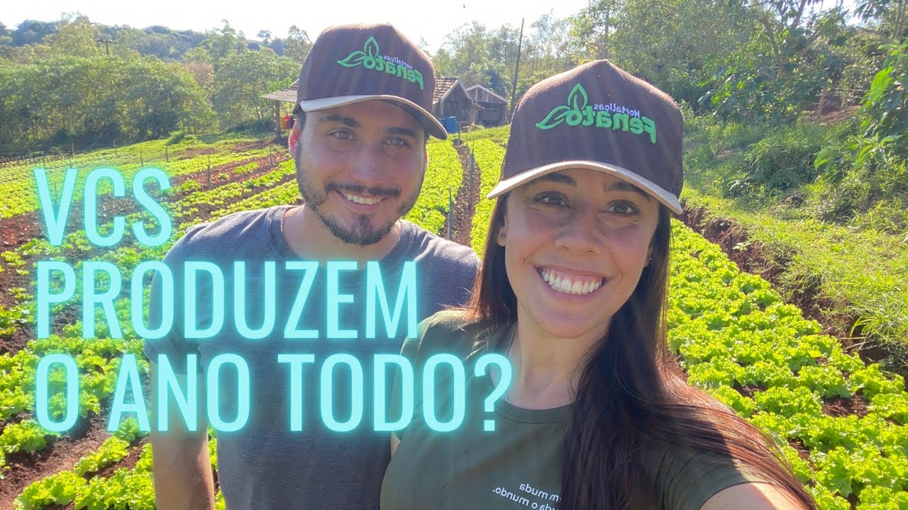 TIRANDO DÚVIDAS SOBRE A PRODUÇÃO DE HORTALIÇAS | Horta Fenato responde #4