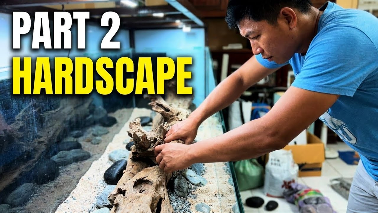 Six Feet Nature Aquarium | Part 2: The Hardcape #nature 