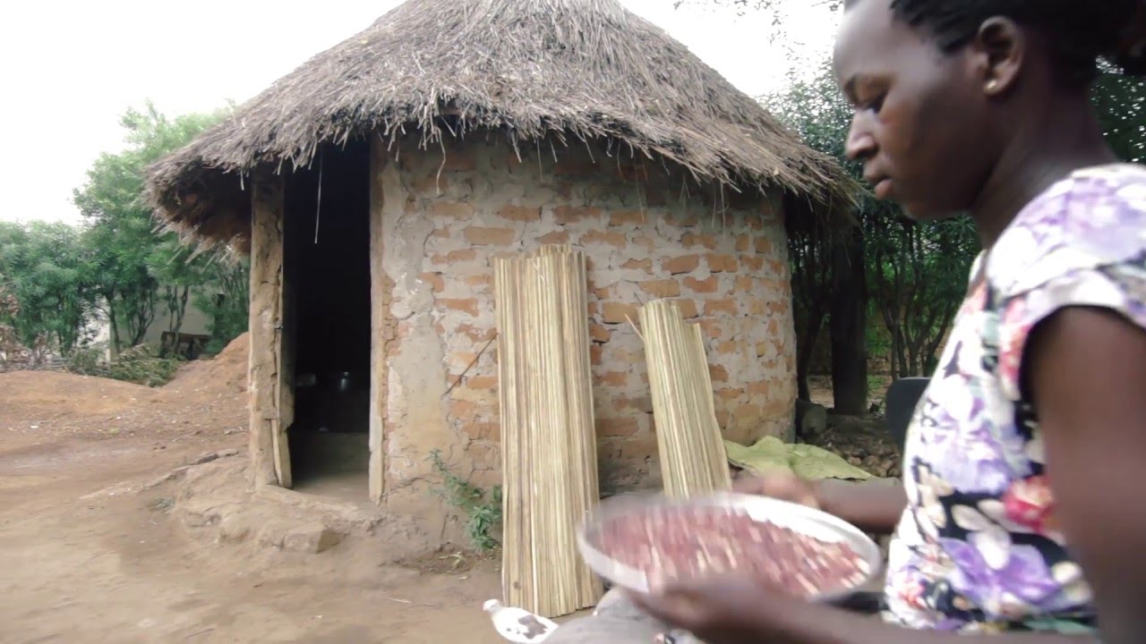 Ugandan develops new cooking fuel to save trees
