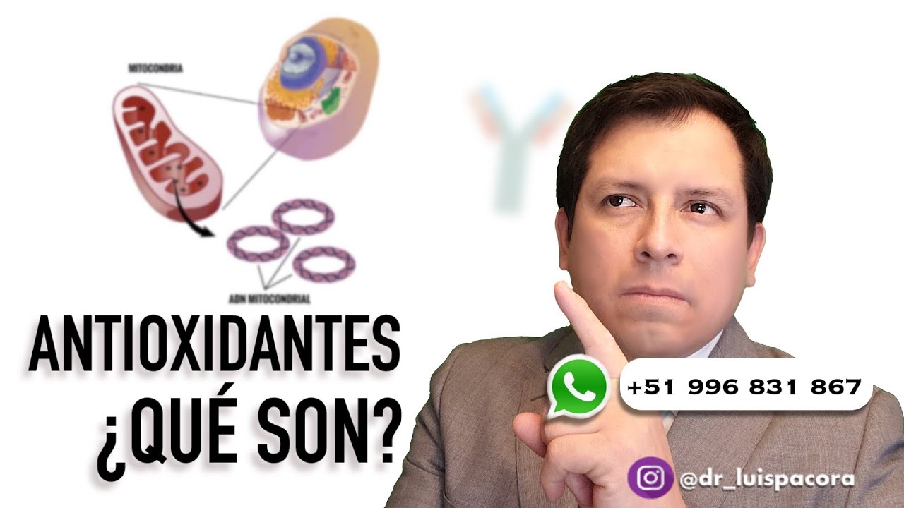 ¿QUE SON LOS ANTIOXIDANTES?