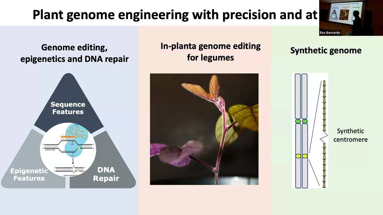 Precision genome editing for crop improvement - Feng Zhang
