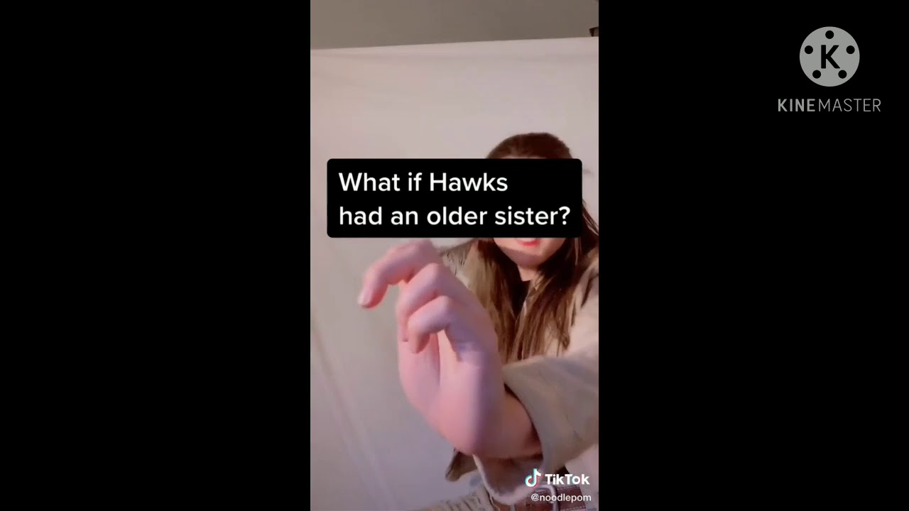 Hawks tiktok part 2