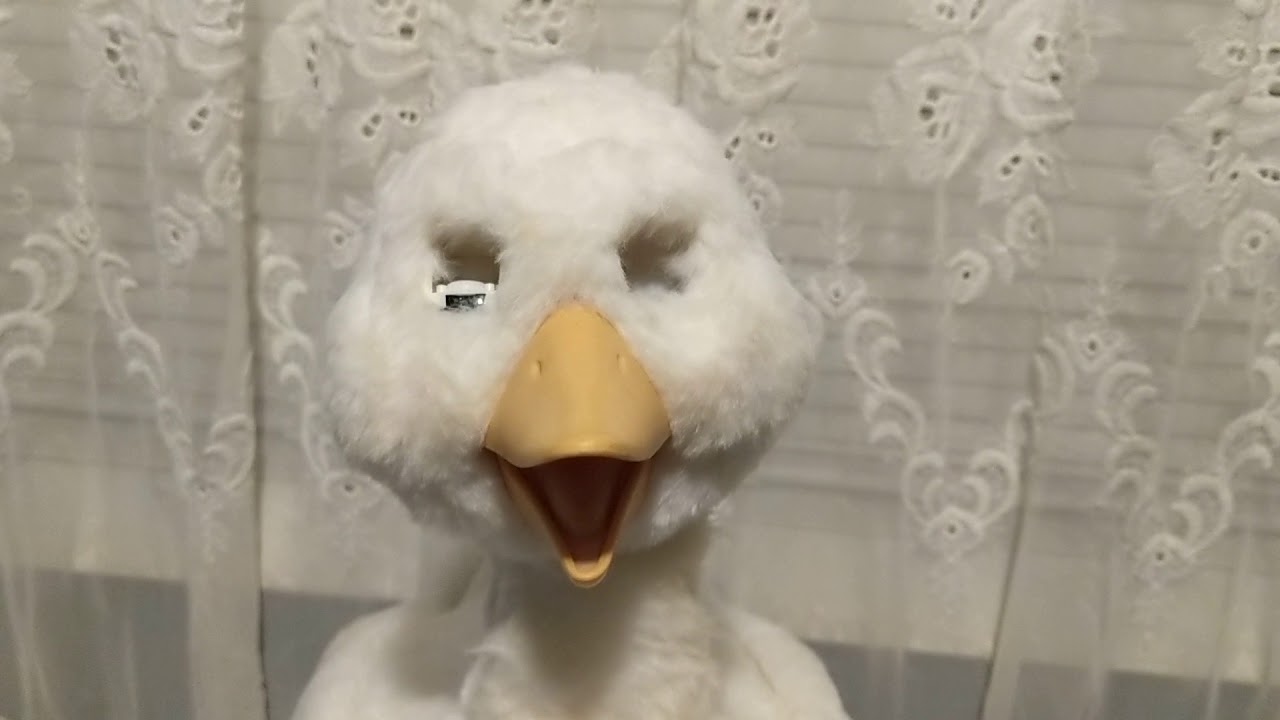 1st Report of Broken Talking Mother Goose.