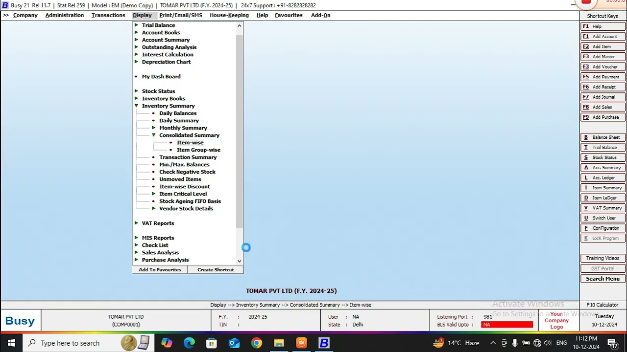 Consolidated Summary in BUSY Tally Science Data Entry GST Computer Software Prime Excel Spreadsheet 