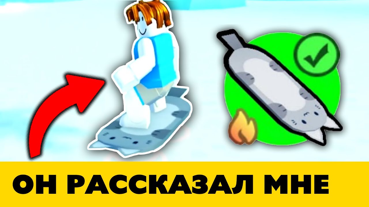 КАК ОН ПОЛУЧИЛ Кошачий Ховерборд - реальная история