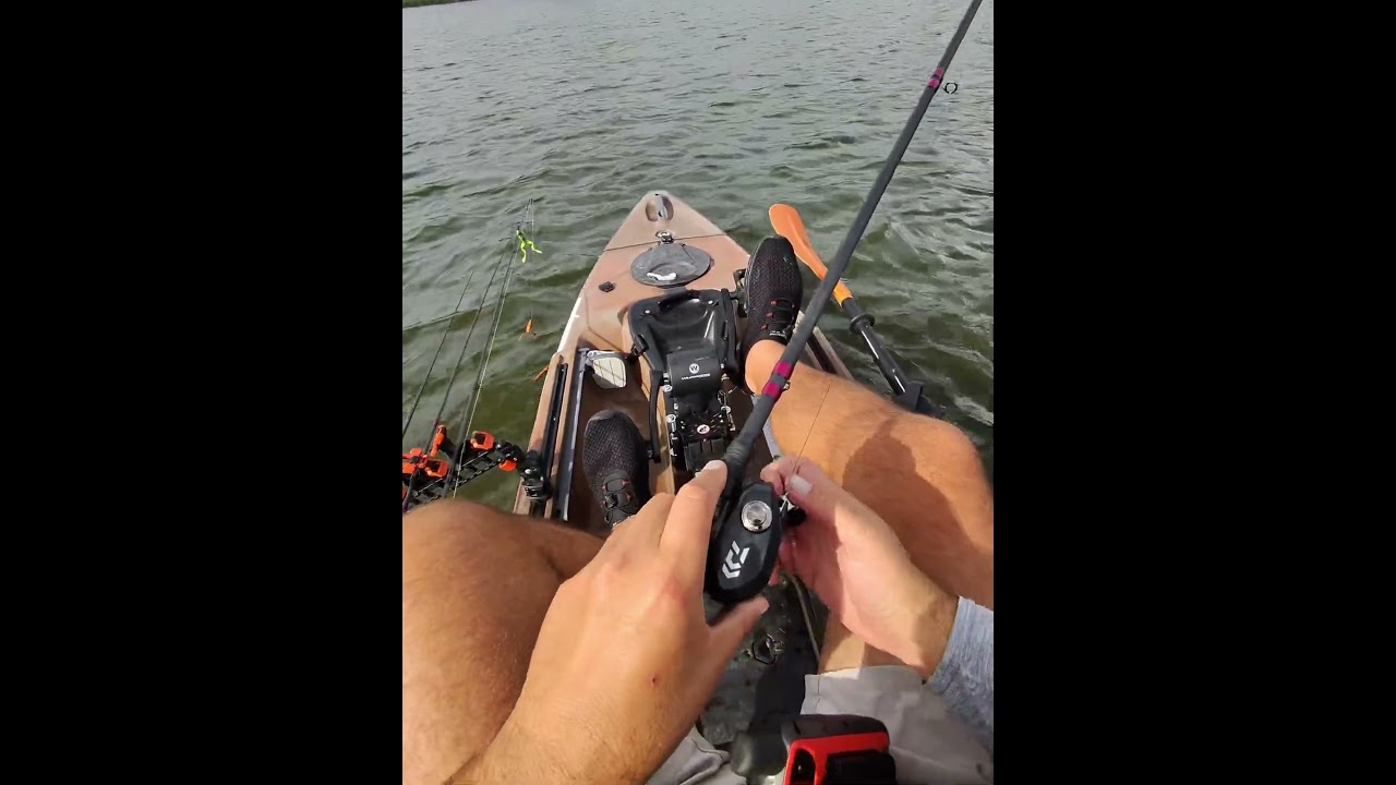 Alabama Rig Sawgrass Bois D' Arc Rod Heavy Daiwa Lexa 300H 