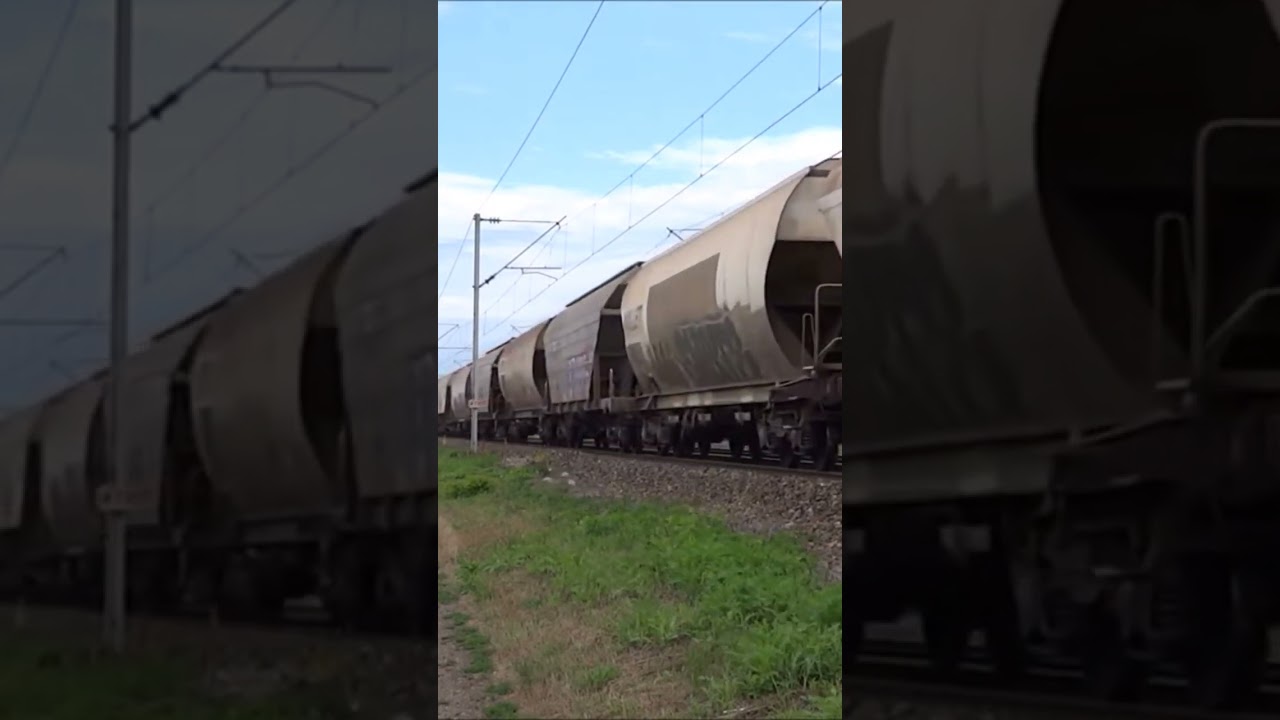 VFLI Class77 + 2x BB75000 + Grain Freight Train 🇨🇵