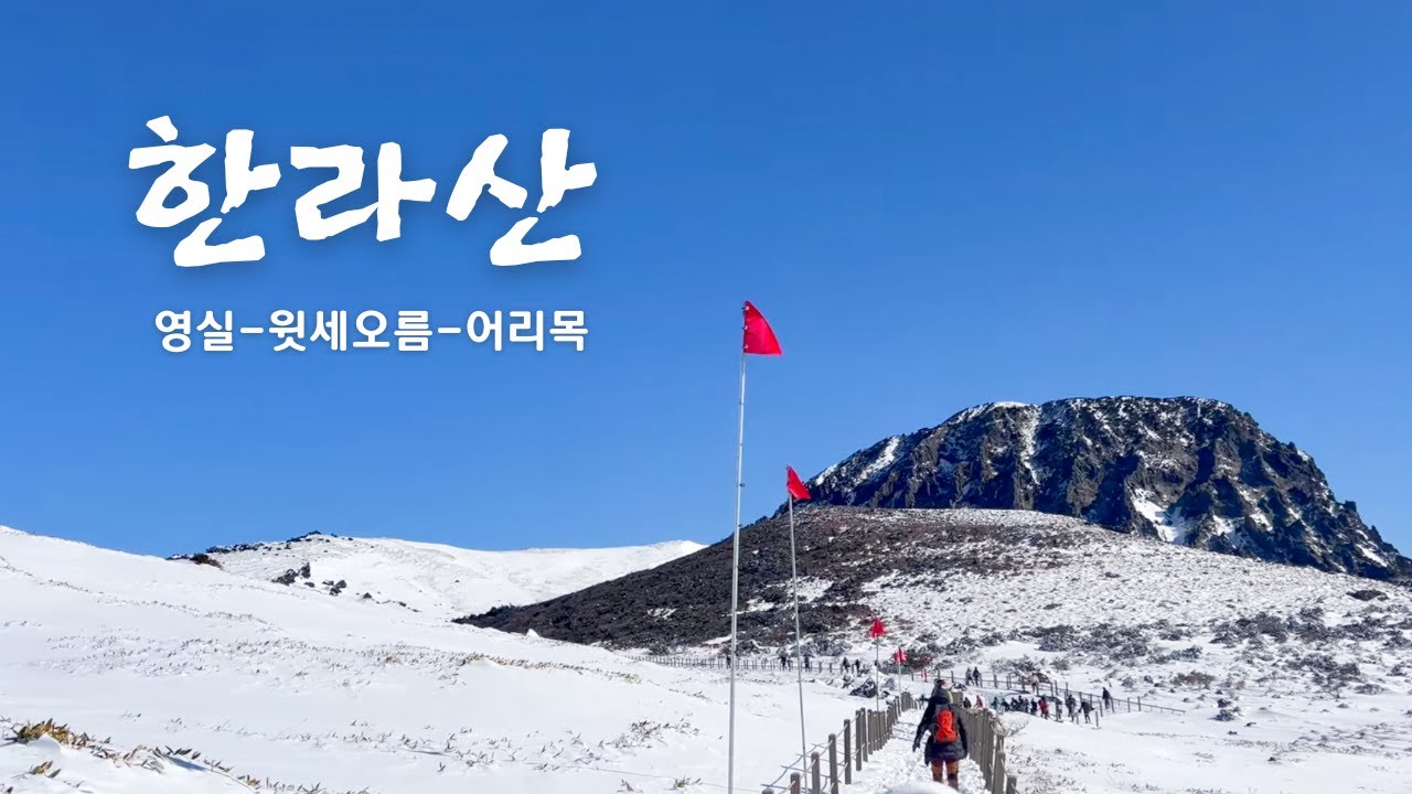 한라산 영실-윗세오름- 어리목 | 파란 바다와 하늘 그리고 하얀 눈을 한꺼번에