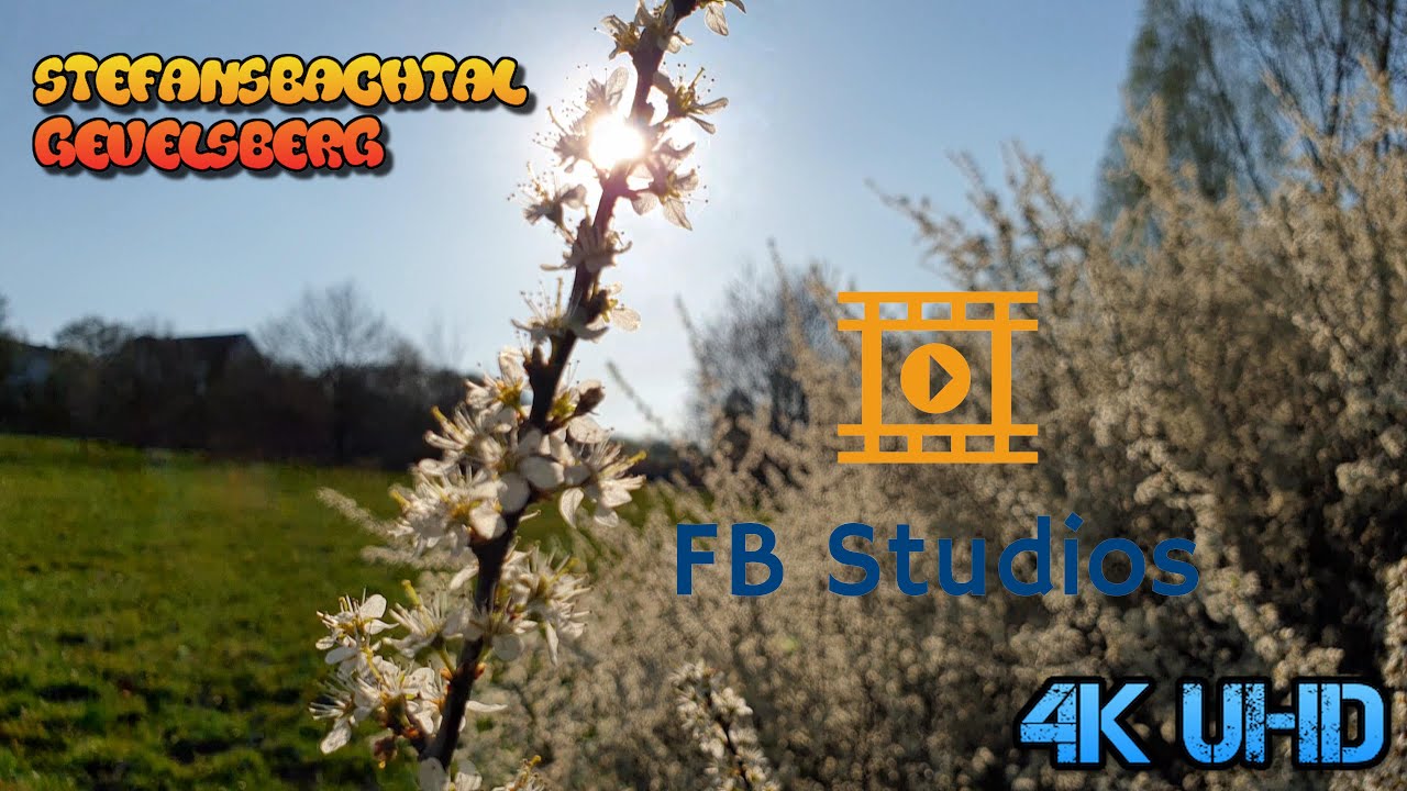 Stefansbachtal Gevelsberg | 09.04.2020 | 4K UHD