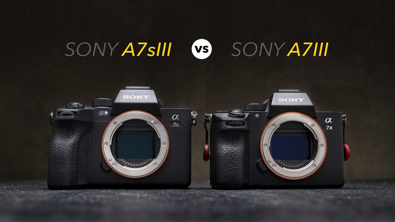 Sony a7s iii vs a7iii Video Performance