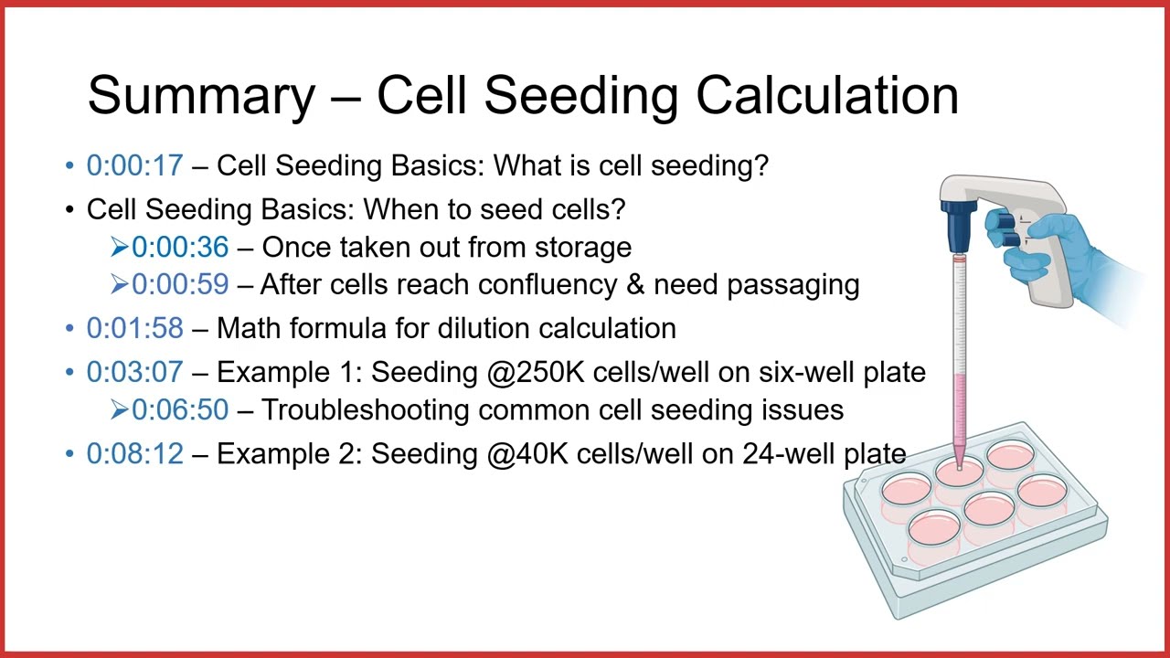 Cell seeding calculation