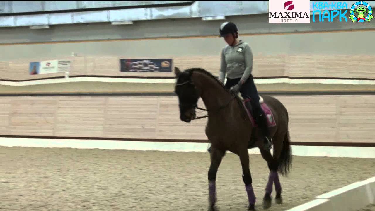 Семинар по выездке с Рафаэлем Сале в Maxima Stables, 15.02.15 - 3