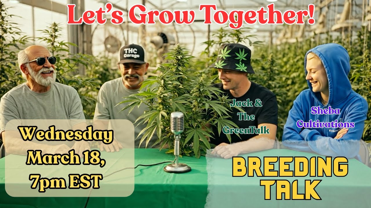 Let's Talk Growing!