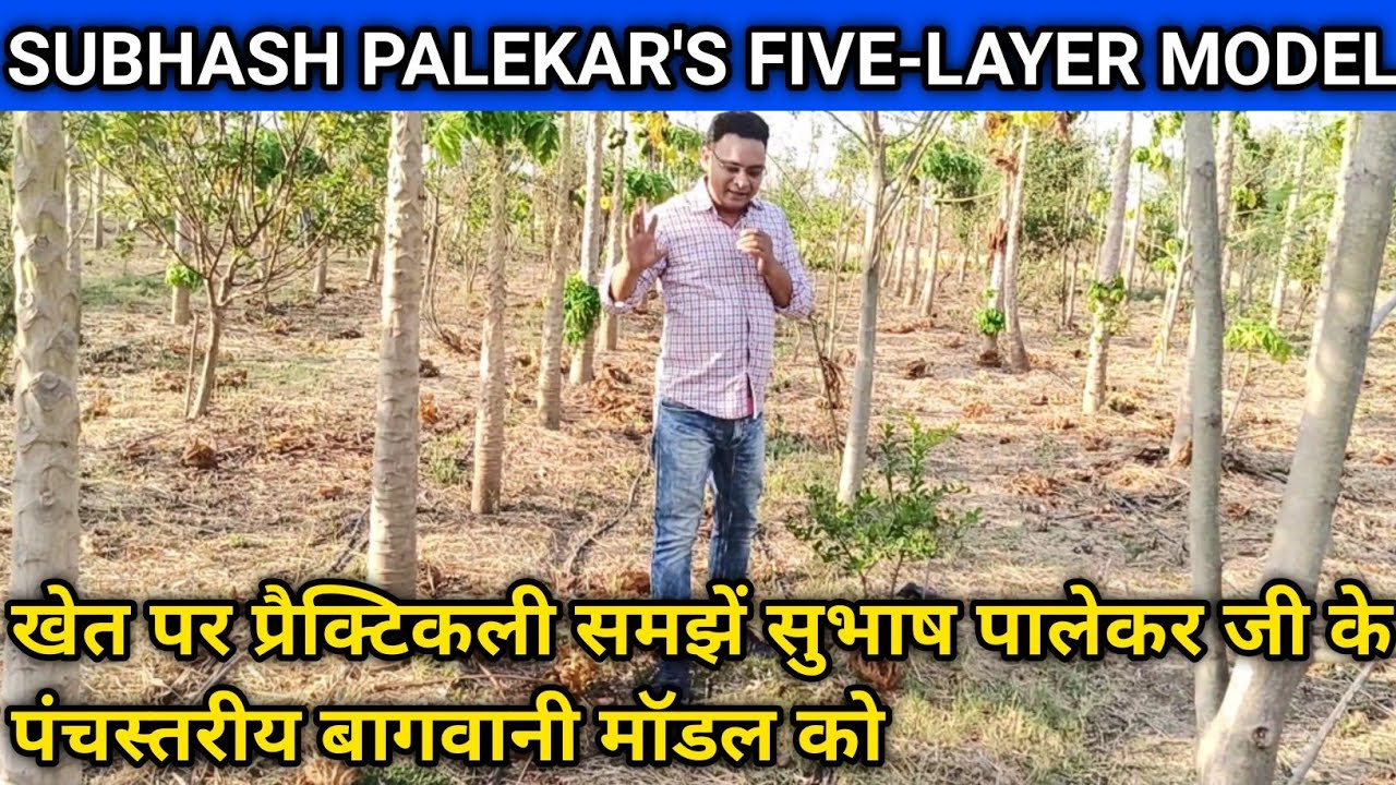 Do's and Dont's of Subhash Palekar 5 Layer Model |  | Subhash Palekar Natural Farming |