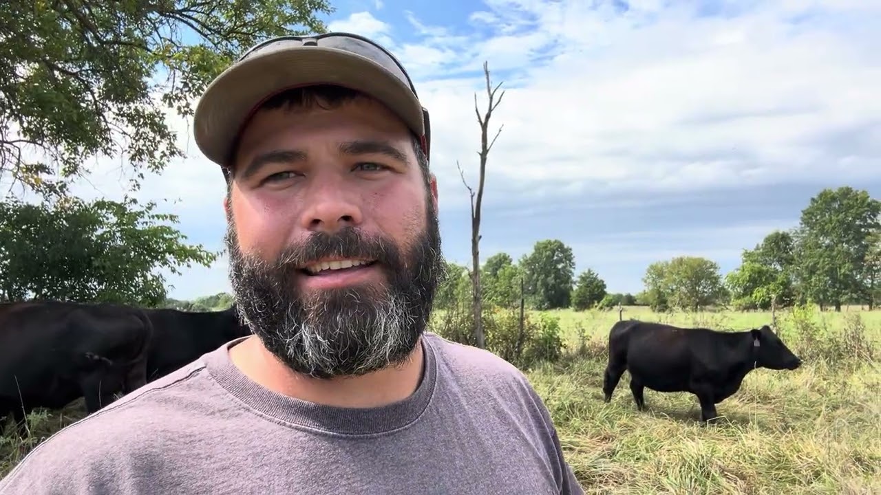 How long to keep a bull?