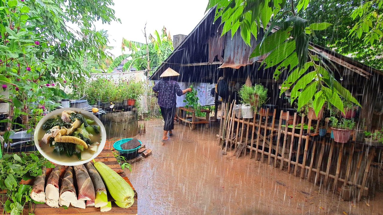 Full video of rainy day in village, Harvesting, Farm life, Countryside Cooking traditional food
